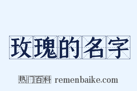 玫瑰的名字是什么意思的图片